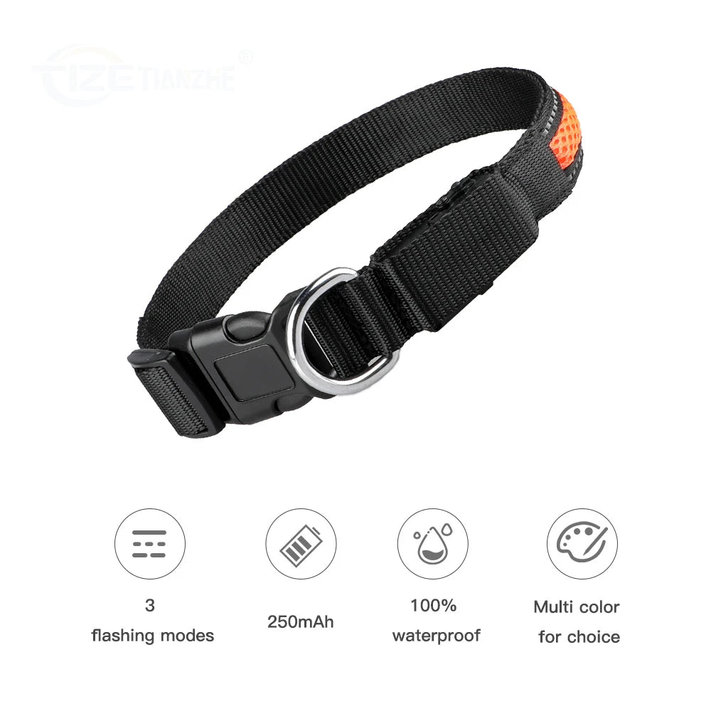 Waterproof Nylon Dog Collar With Night Safety LED Glow