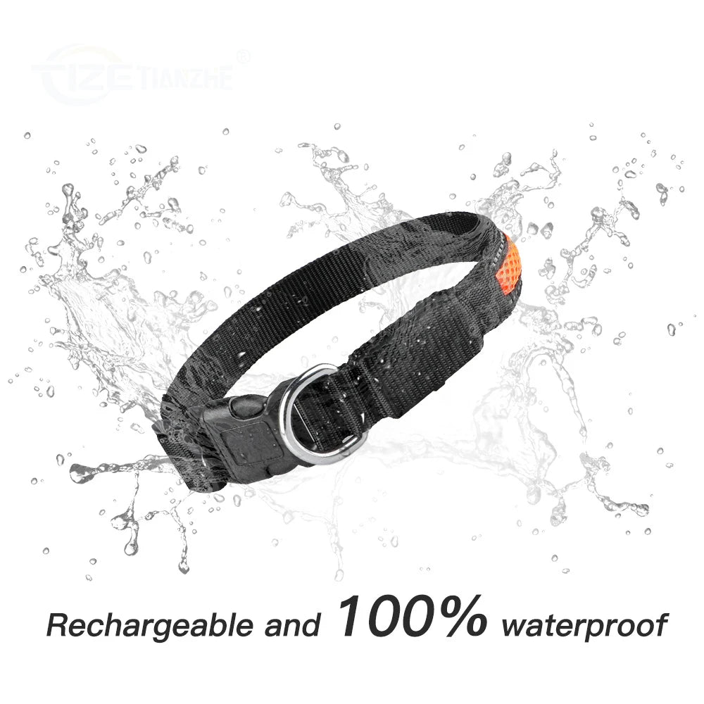 Waterproof Nylon Dog Collar With Night Safety LED Glow