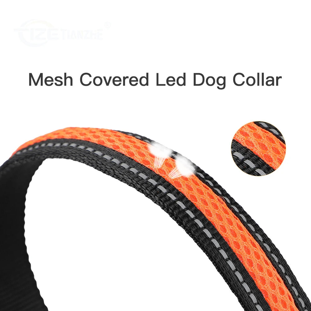 Waterproof Nylon Dog Collar With Night Safety LED Glow