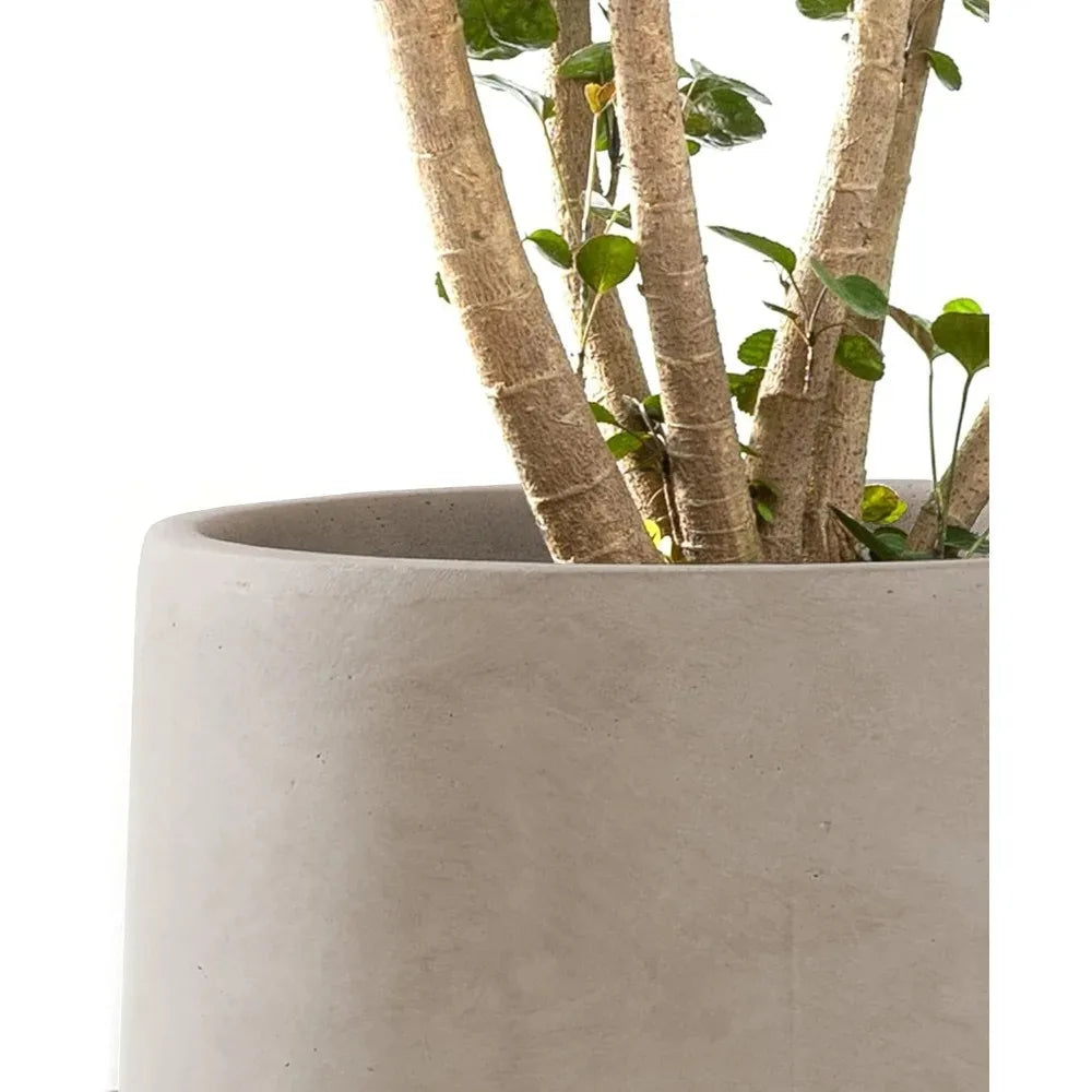 Round Concrete Planter Pots - One Shop Ventures