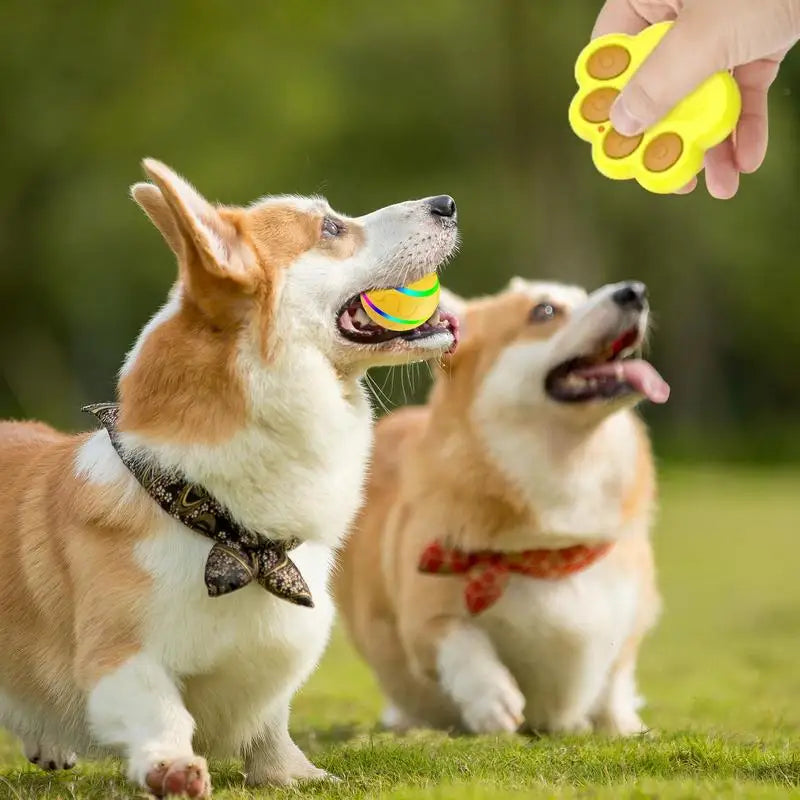 Rechargeable Silicone Dog Balls With LED Light Remote Control Motion Sensor