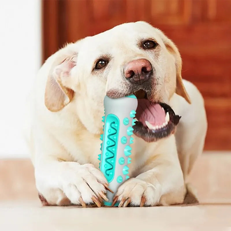 Dog Teeth Cleaning Bone