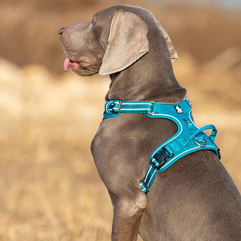 Truelove Reflective No Pull Nylon Dog Harness