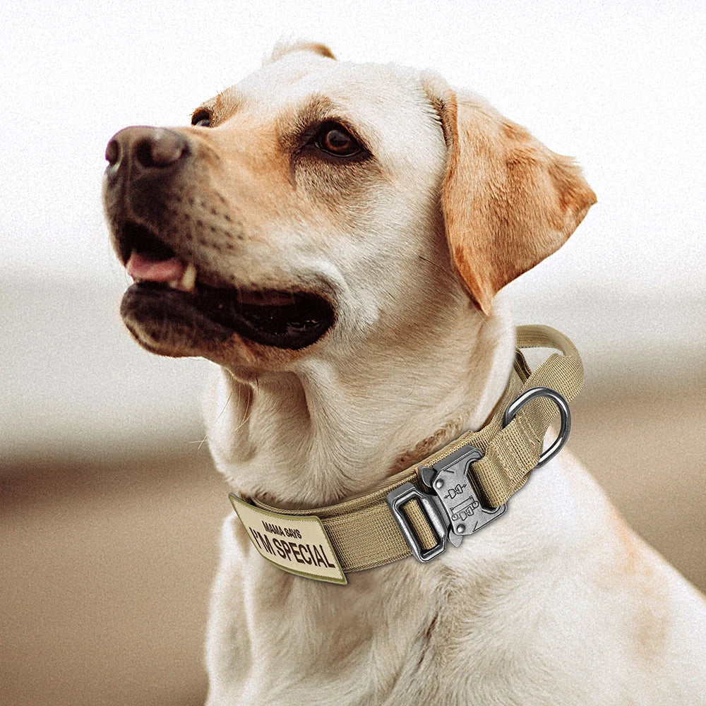 Nylon Adjustable Dog Collar With Handle