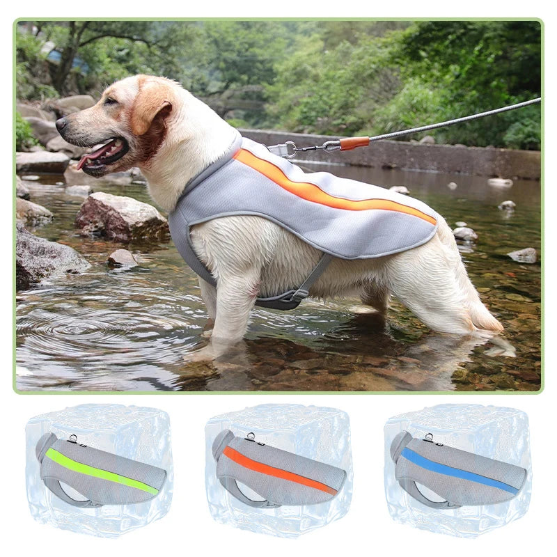 Dog Heatstroke Prevention and Cooling Vest