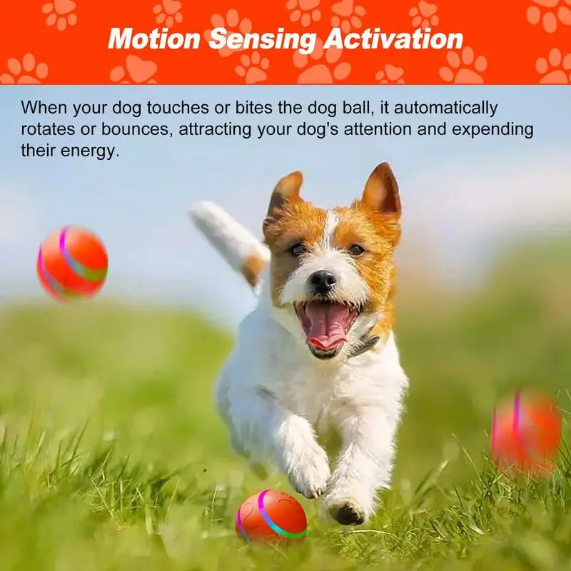 Rechargeable Silicone Dog Balls With LED Light Remote Control Motion Sensor