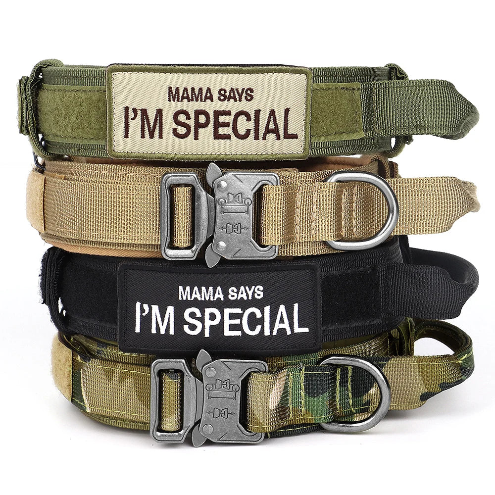 Nylon Adjustable Dog Collar With Handle