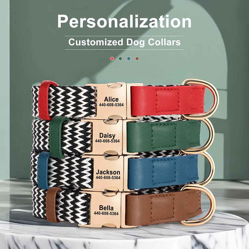 Custom Personalized Nylon Dog Collar