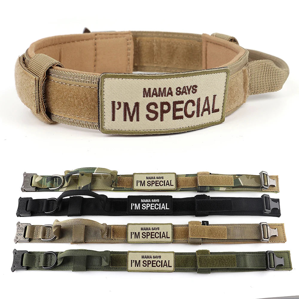 Nylon Adjustable Dog Collar With Handle