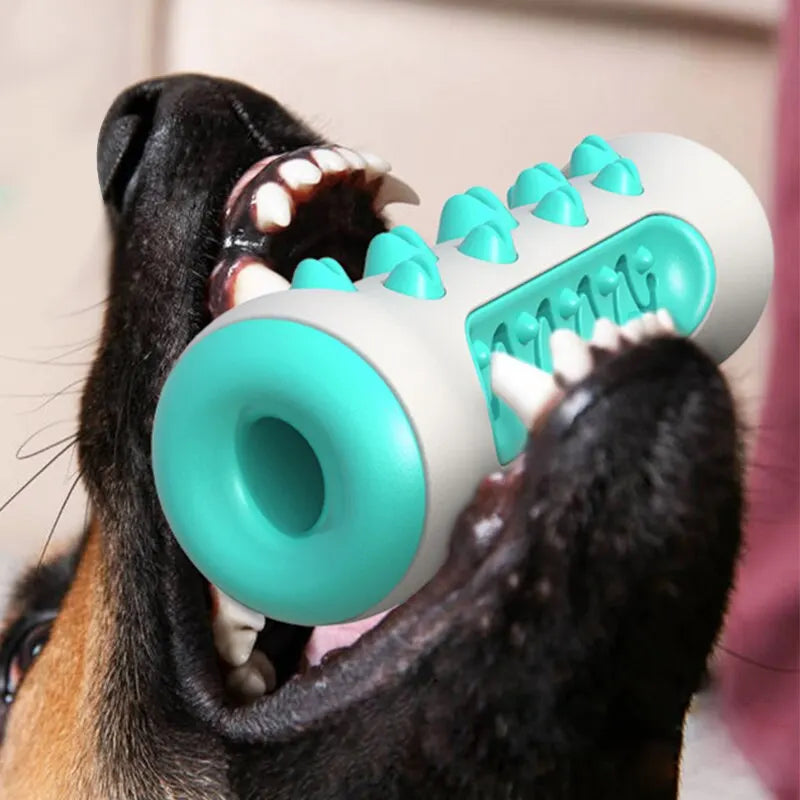 Dog Teeth Cleaning Bone